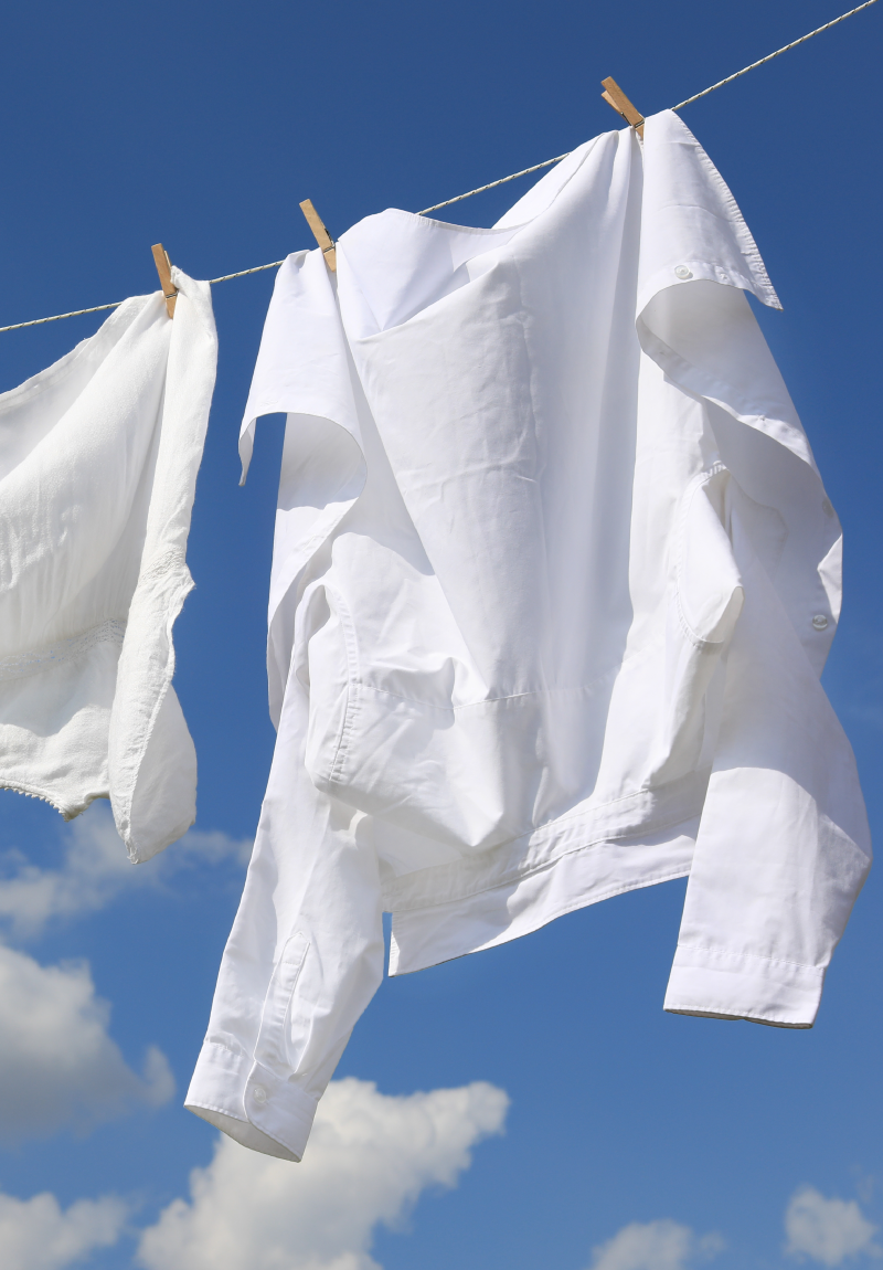 laundry care fragrance development uk